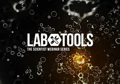 Developing Effective Cell Therapies for Challenging Cancer Types&nbsp;